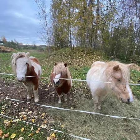 Tiny In Nature With Finnish Sauna *
