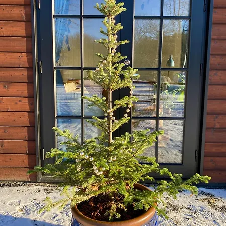 ロッジ Tiny In Nature With Finnish Sauna *